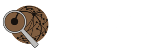 Balsillie Case Studies